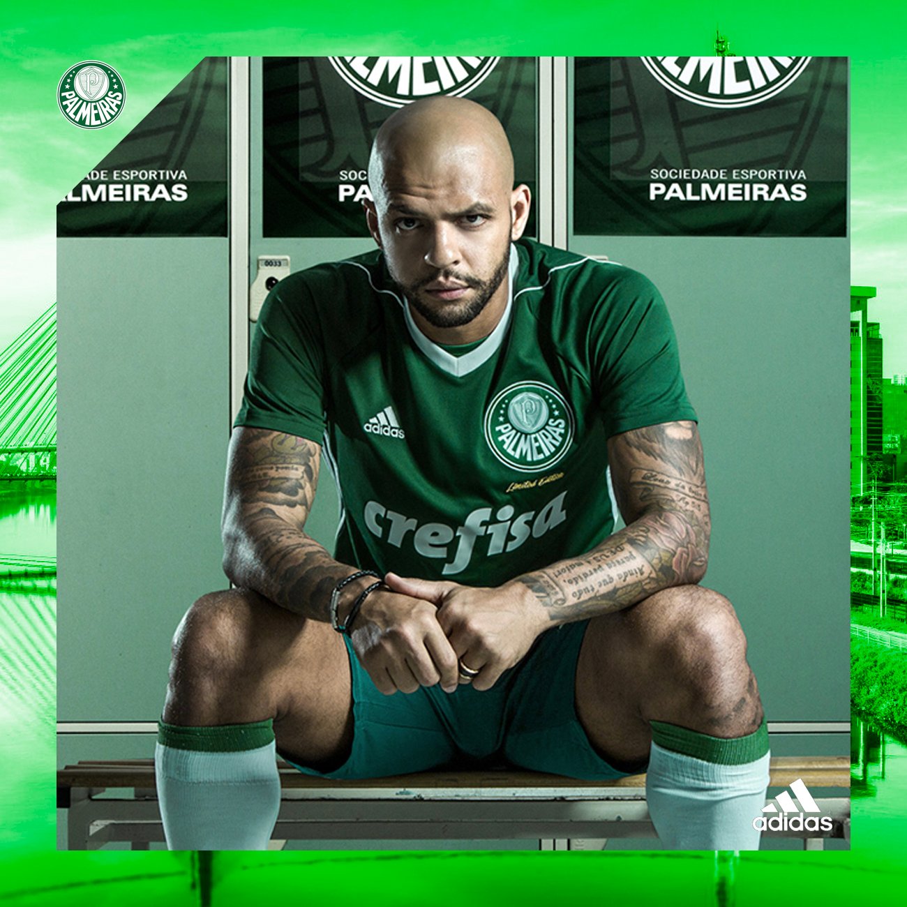 PALMEIRAS (Limited Edition 2017) - TALLA M - Imagen 4