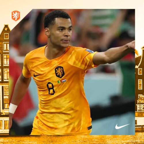 HOLANDA (Home 2022/23) DriFit ADV - TALLA L - Imagen 3