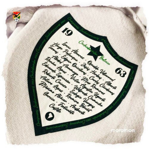 BOLIVIA (Away 2025 edición Centenario) - Imagen 3