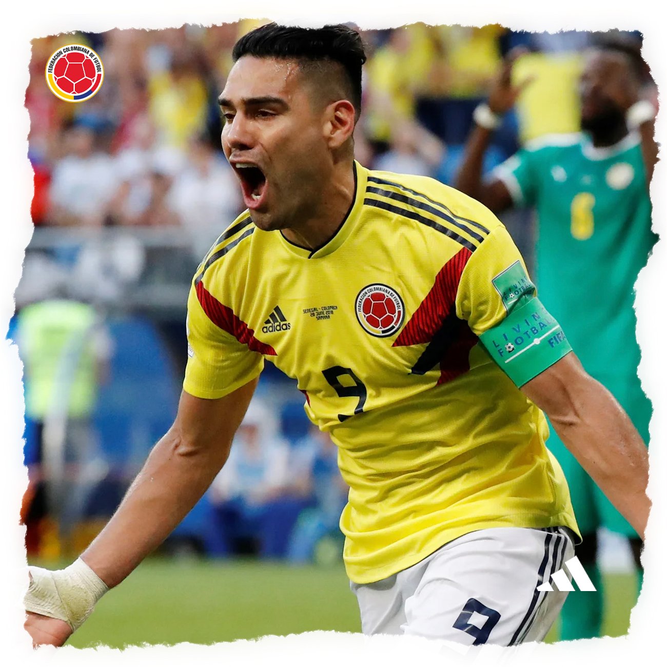 COLOMBIA (Home 2018) - TALLA M - Imagen 3