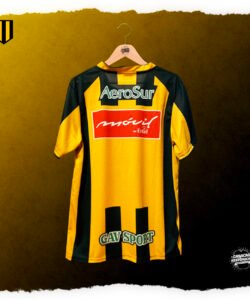 Alternative view of AURINEGRA 2005